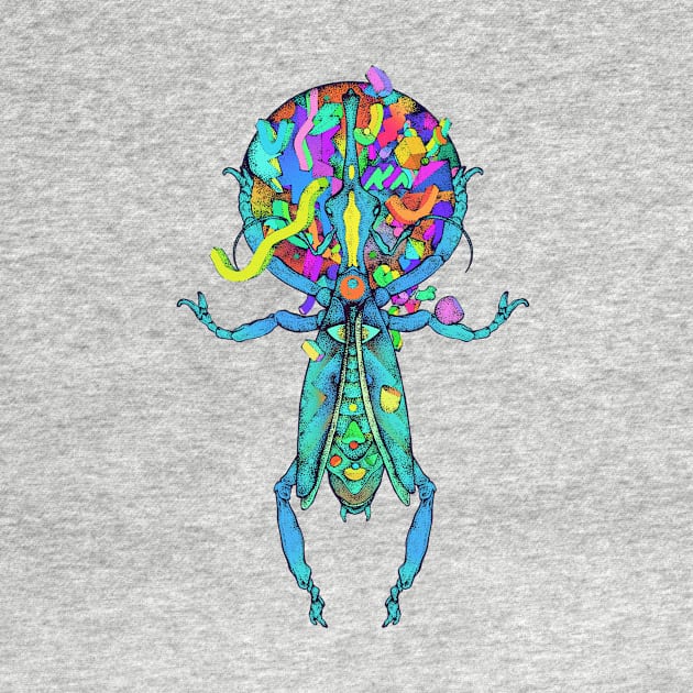Spatial Beetle Multicolor by ImmortalPink
